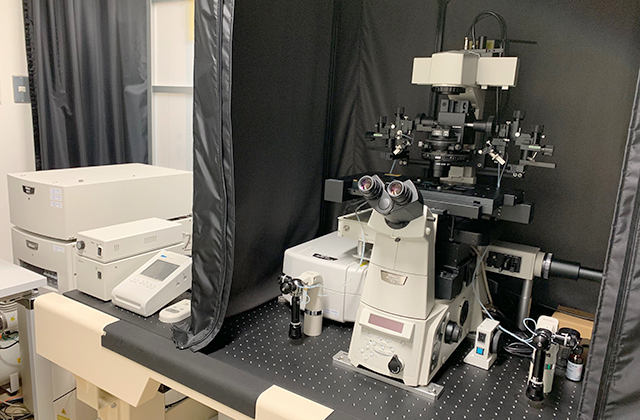 高速多光子共焦点レーザー顕微鏡システム
