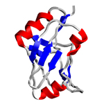 核酸とタンパク質の相互作用