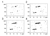 15N-1H HMQC spectra