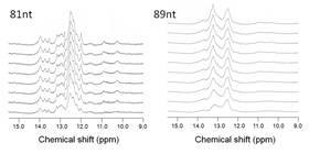 the two candidates of S3 RNA